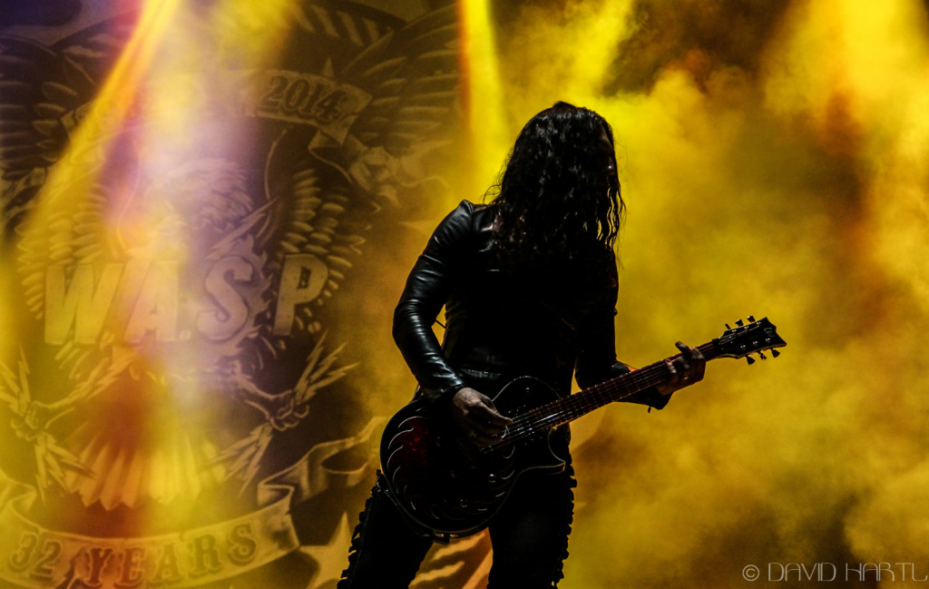 Wasp Live At WOA 2015 (Copyright David Hartl)